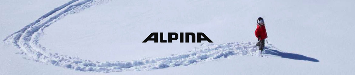 Alpina-Skihelm-of-Skibril-kopen