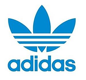 adidas skibril kopen - skbril dames - heren - kind