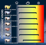 Photochromic Visors