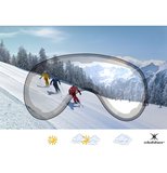 Skihelm Slokker Raider Pro - grijs - meekleurend & polariserend vizier (☁/☀/❄)_